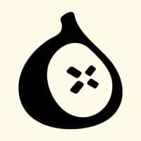 fig-security logo