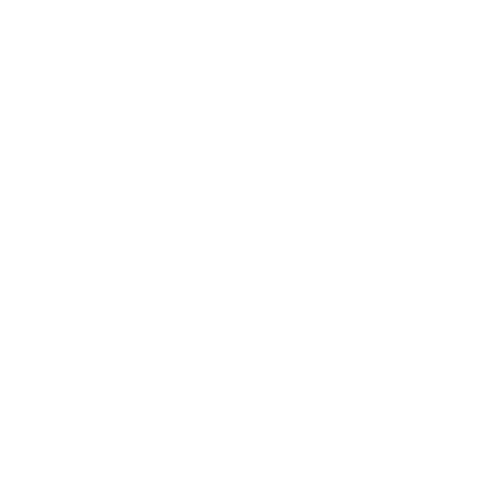 Rig logo